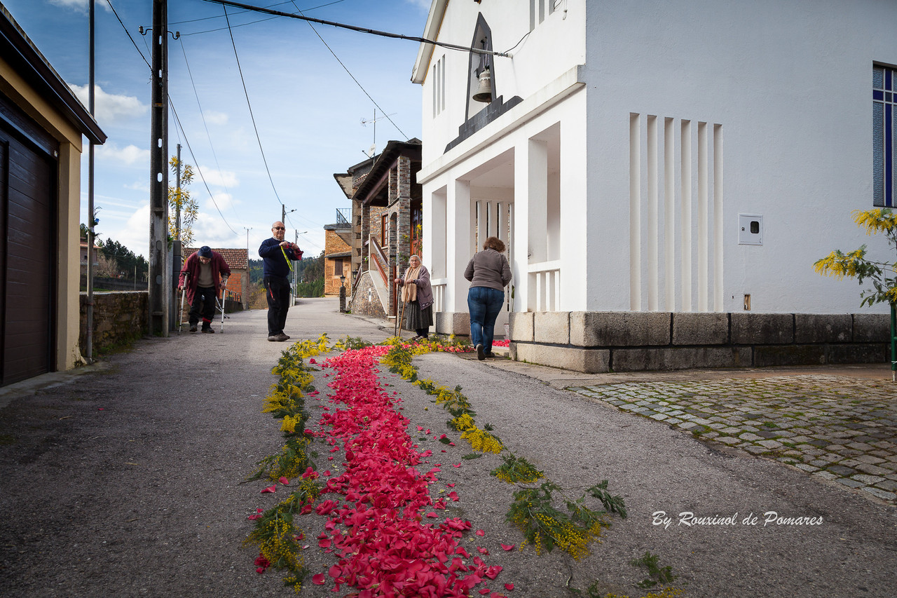 Visita do Sr. Bispo (107)-38.JPG