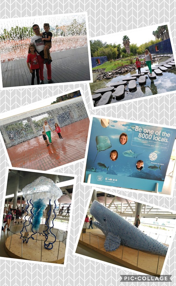Collage 2017-08-31 22_56_43.jpg