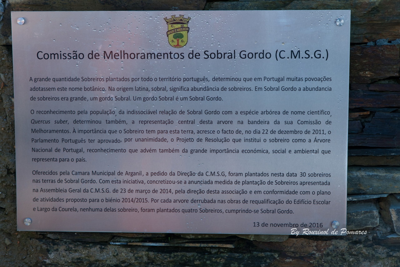 Sobral Gordo - S. Martinho 2016 (19).JPG