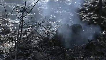incendios.jpg