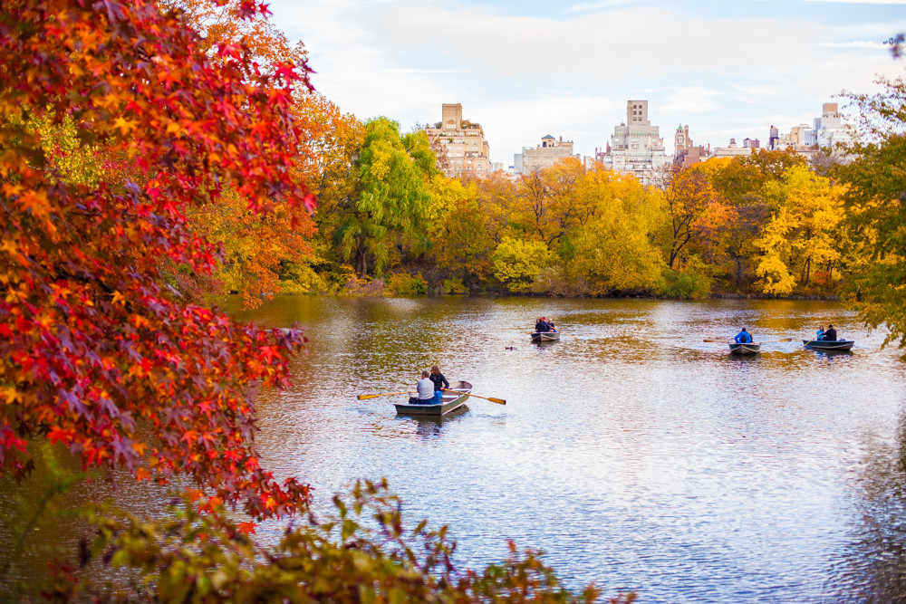 centralparkboats.jpg