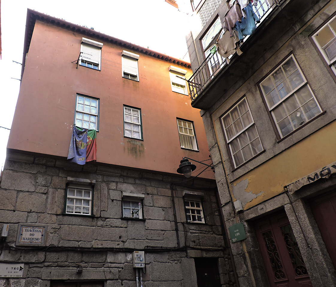 DSCN6692b.jpg