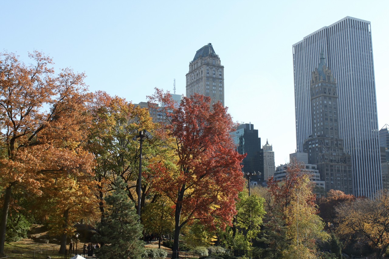 New_York_(112).jpg