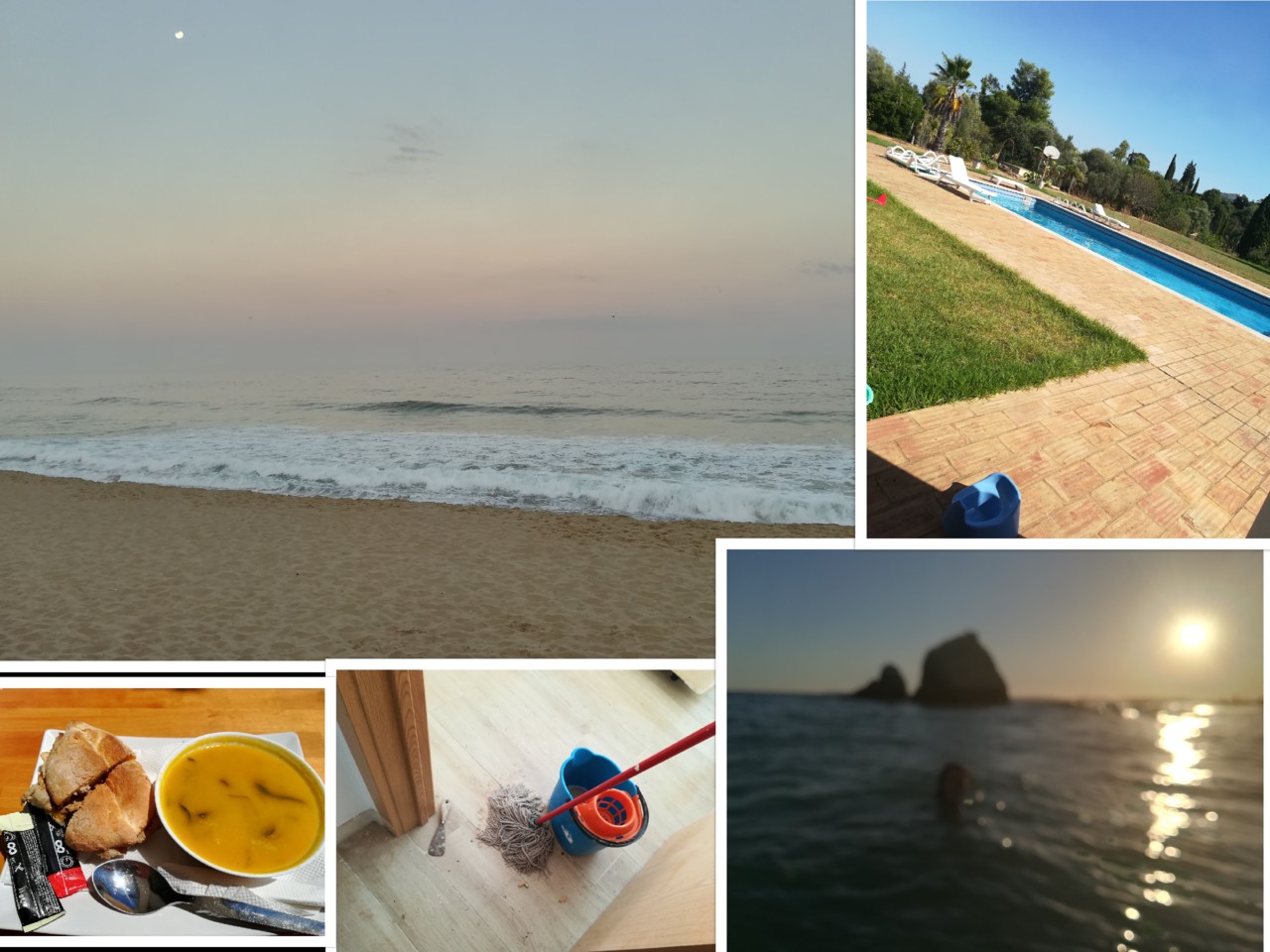 collage1.jpg