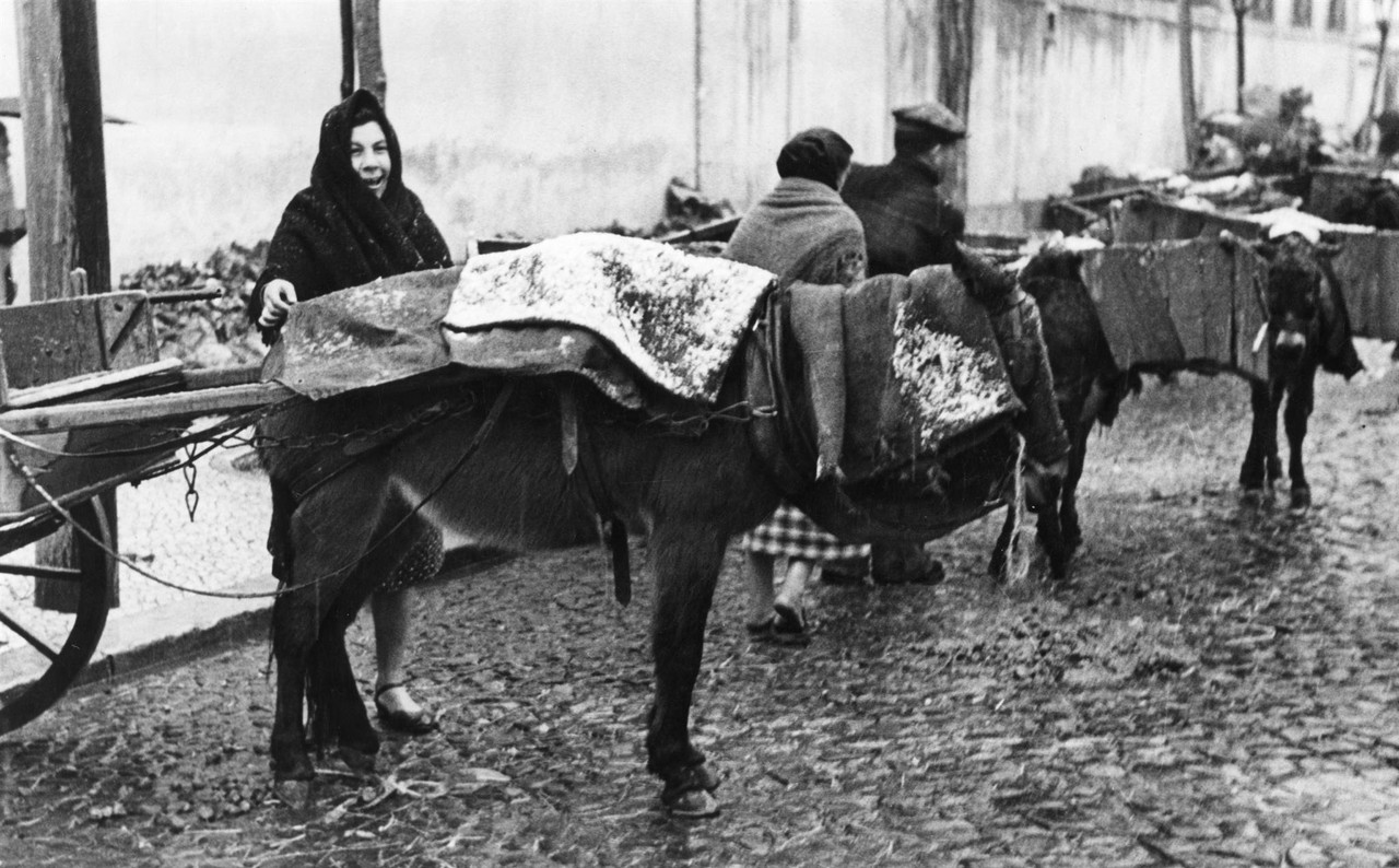 Efeitos do nevão junto ao mercado do 31 de Janeiro, Lisboa (F. Cunha, 1945)
