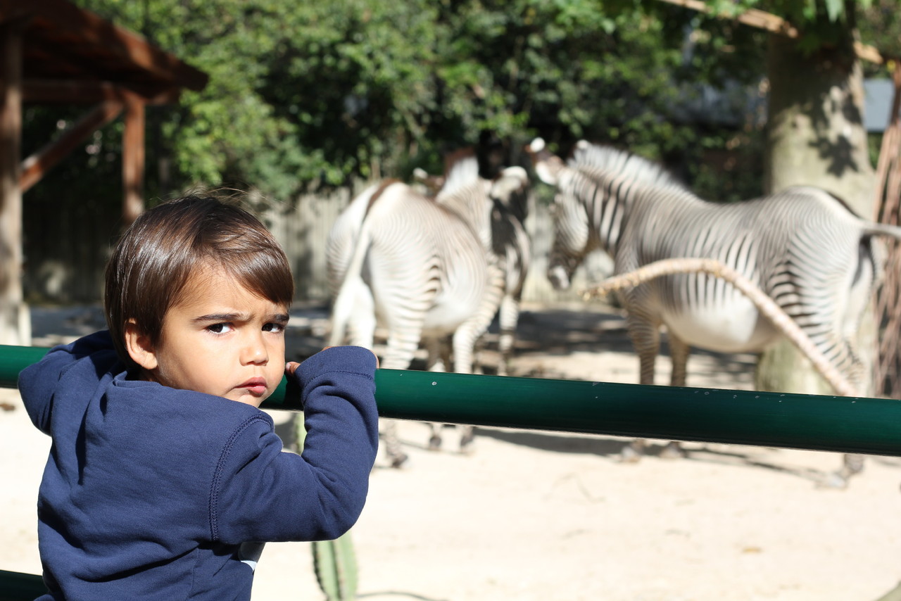 IMG_8422.JPG