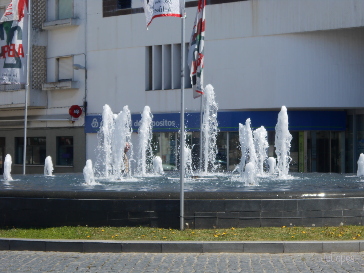 DSCN3207.jpg