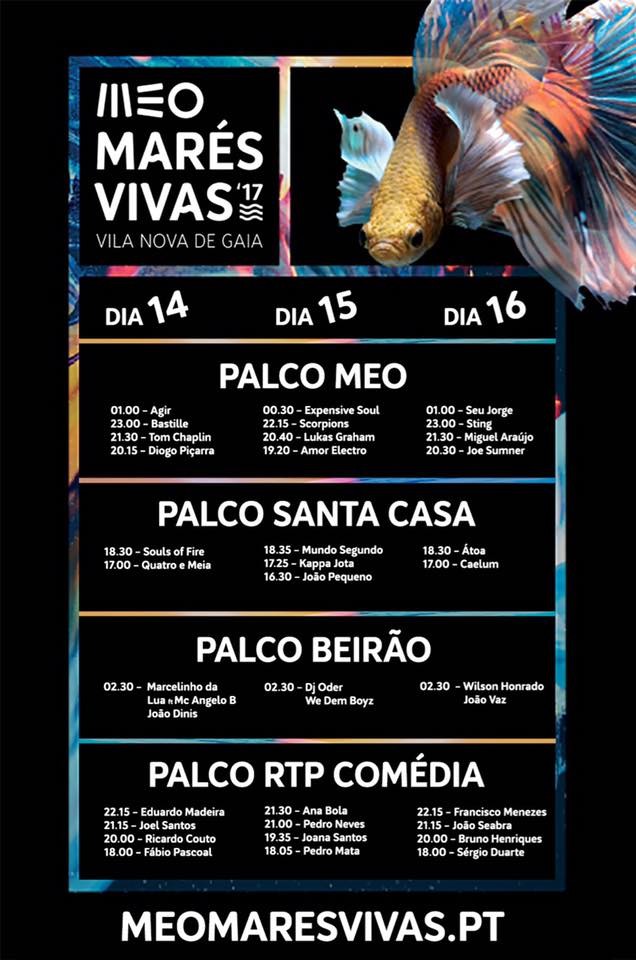 meo mares vivas.jpg