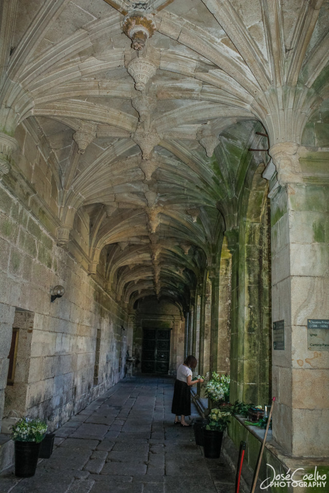 amarante (9).jpg