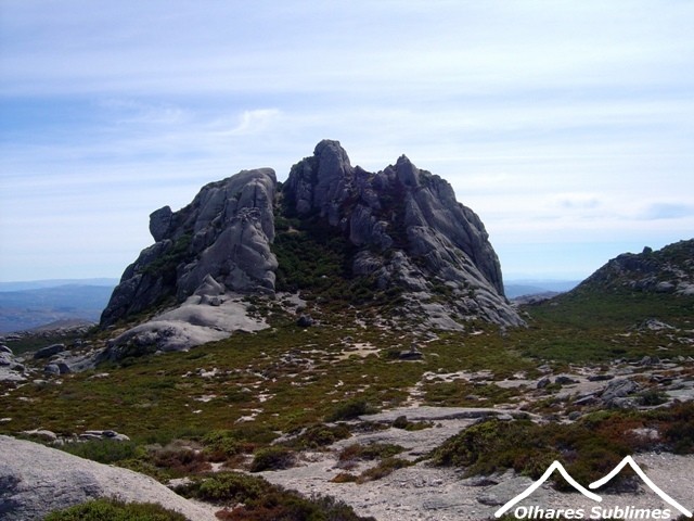 DSC09537.JPG DSC09537.JPG