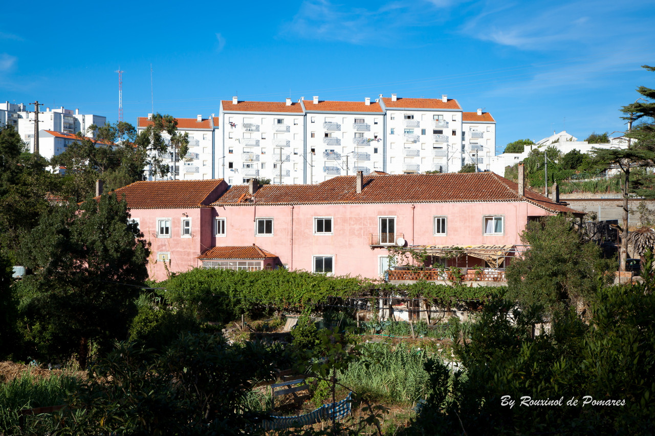 3ª Caminhada com Stória em Agualva-Cacém (21)