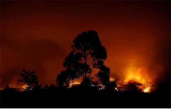 incendio.jpg