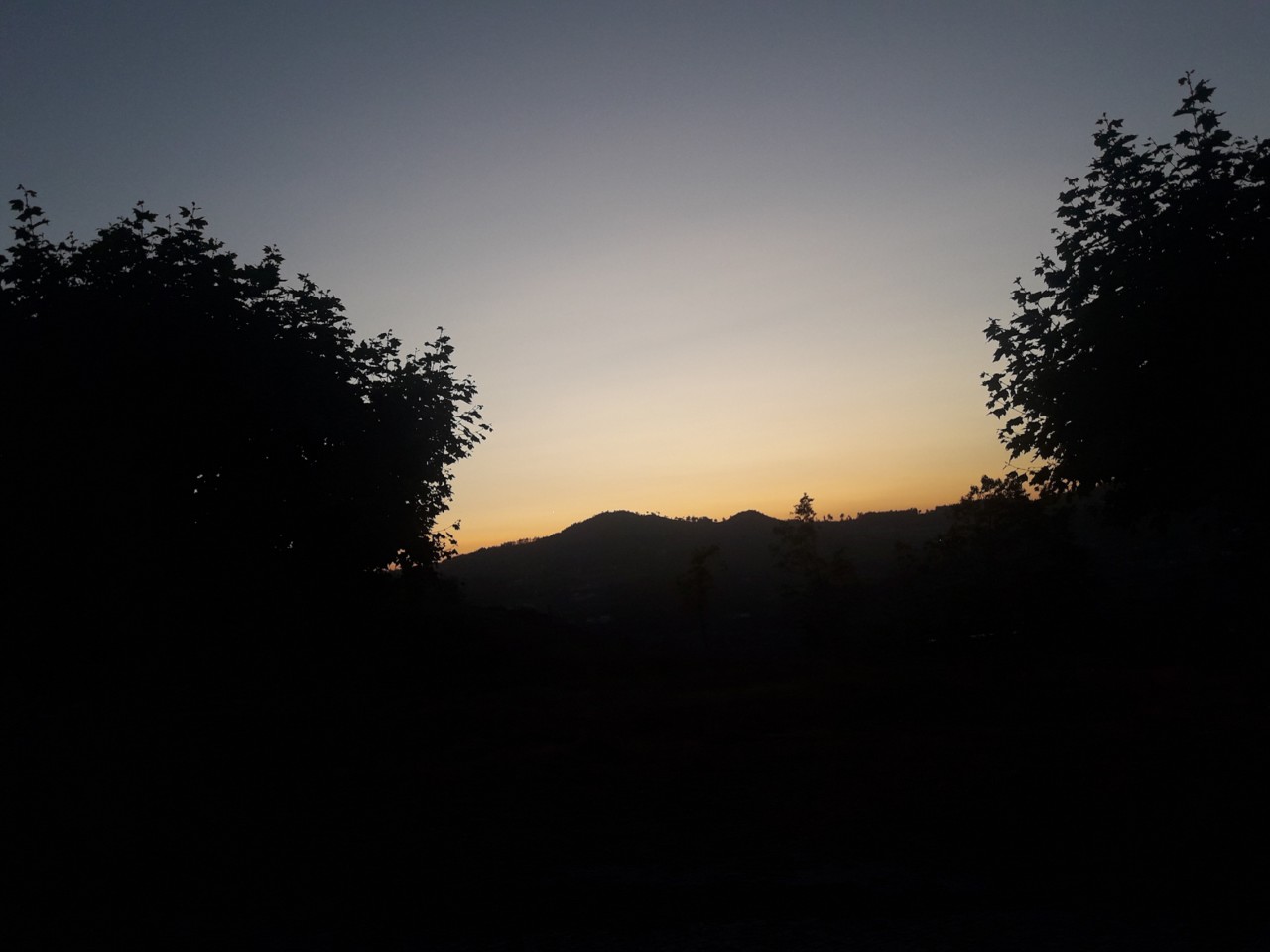 IMG_20190801_214206_520.jpg