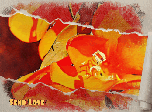 Contrastes by PP