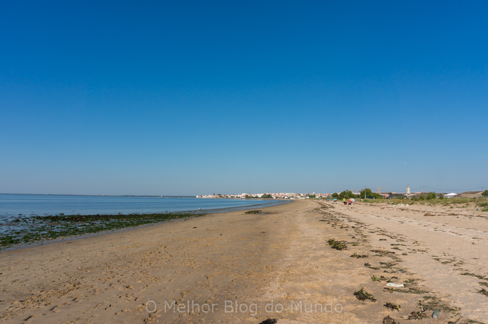DSC08906.jpg