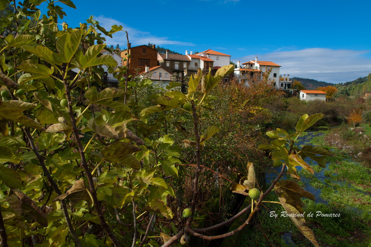 Agroal-Pomares-Arganil (8).JPG