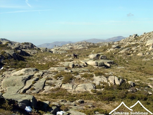 DSC09656.JPG DSC09656.JPG