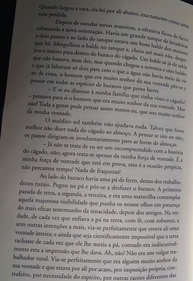 O Cágado 3..jpg