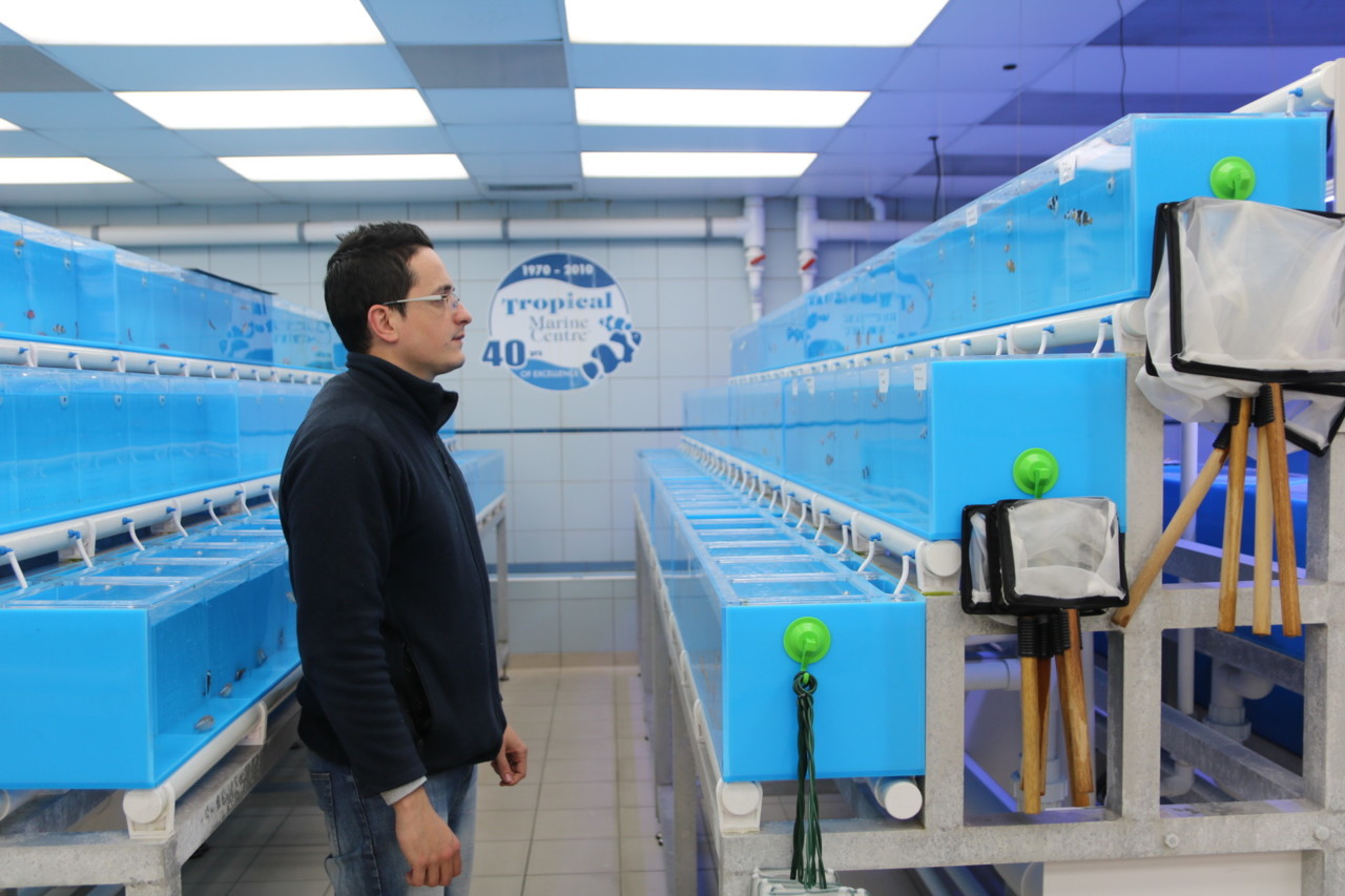 andré corga, Tropical Marine Center