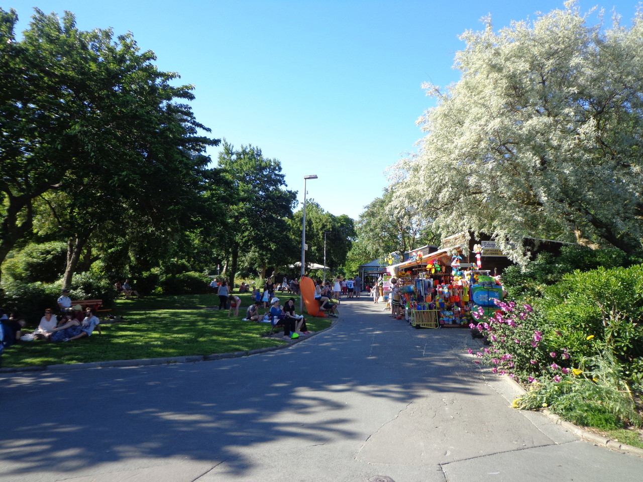 DSC02583.JPG
