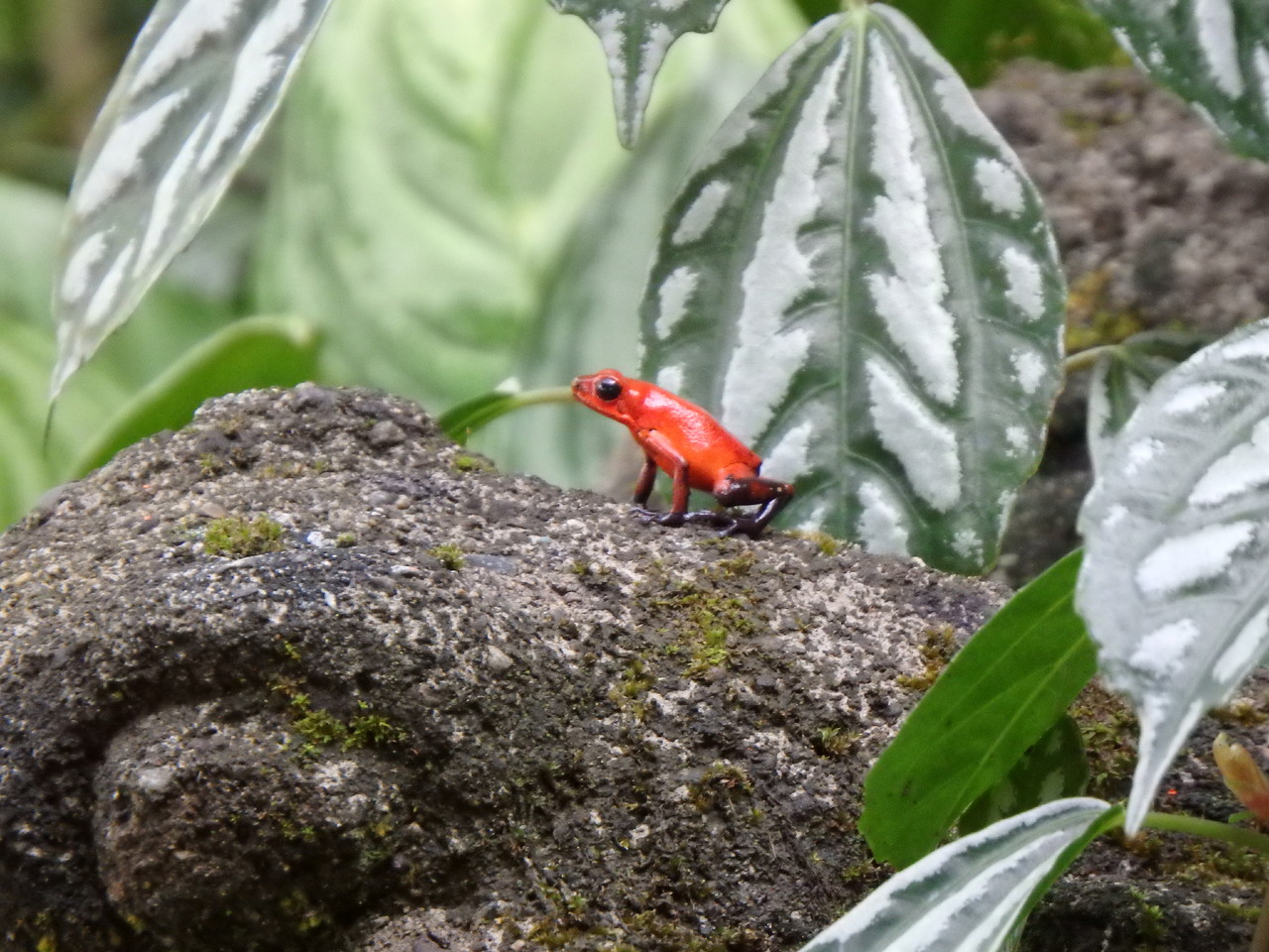 PA071354.JPG
