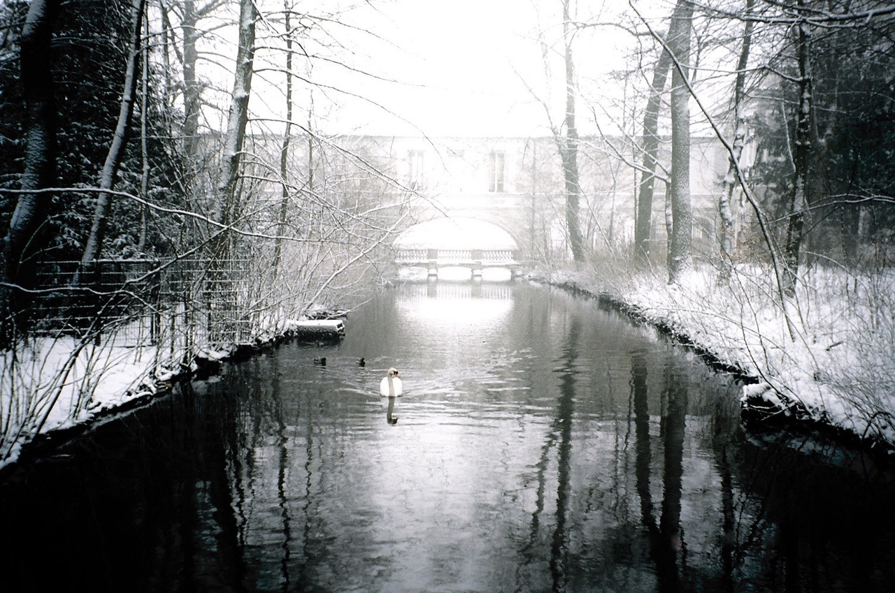 34790035.jpg
