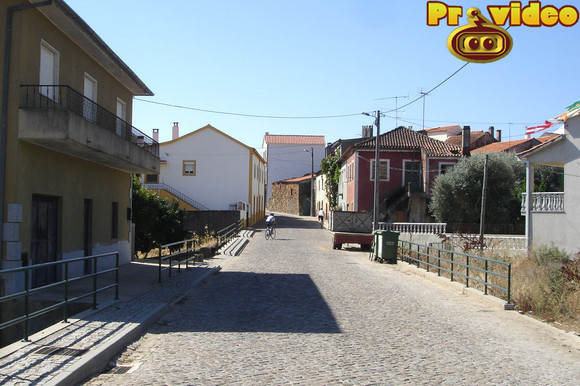cavaca 14