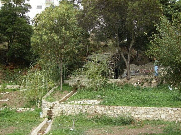 Nascente de Fitares (10)