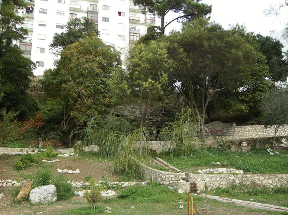 Nascente de Fitares