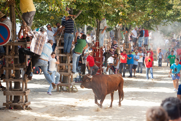 Apres. Festa da Moita Largada