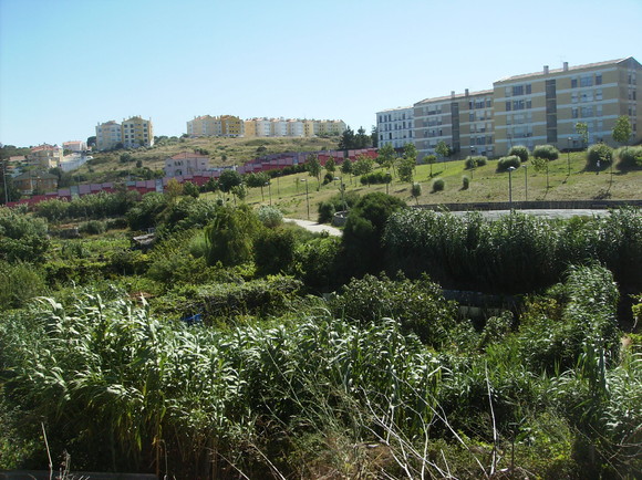 Rio de Mouro - parque urbano 006