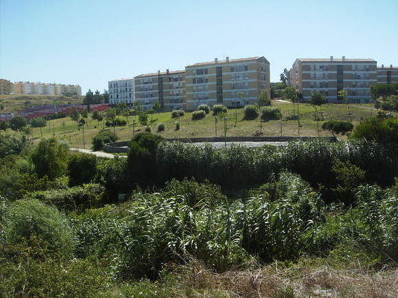 Rio de Mouro - parque urbano 005