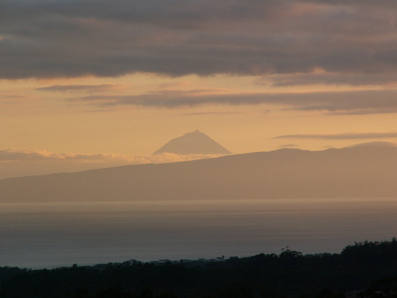 PICT0008