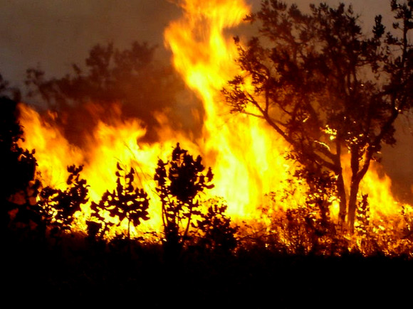incendio2010