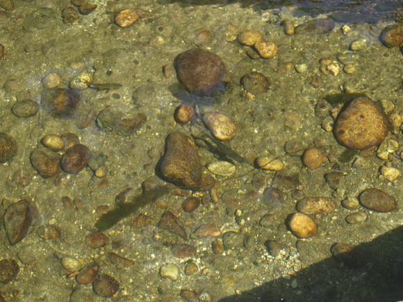 P6055402