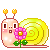 caracol4