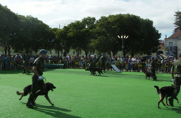 Força Aérea 036