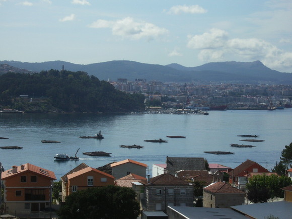 Ría de Vigo - ostreiras (4)