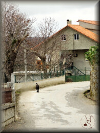 03Fev DSC04093_ms.JPG