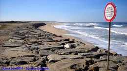 2011-10-08ObsCosteira (6) copy.jpg