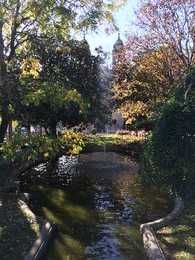 IMG_1778.JPG