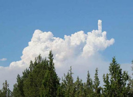 25325449.jpg
