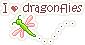 lpp_ad_dragonflies