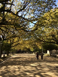 IMG_1766.JPG