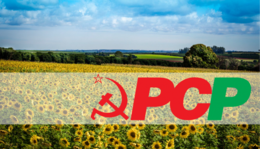 220720140010-383-PCPAlentejo-01.png 220720140010-383-PCPAlentejo-01.png
