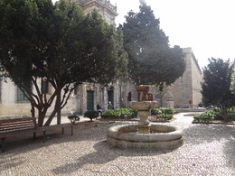 DSC00874.JPG