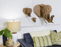Elephant.jpg