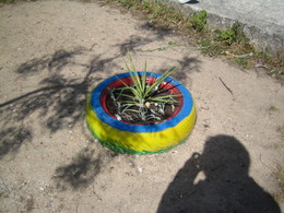 canteiro2