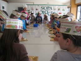 sopa biológica