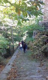 20161030_102203.jpg